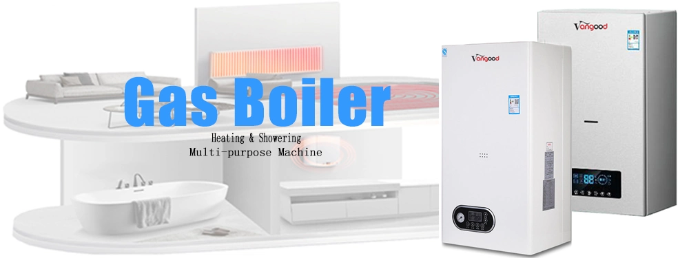 Popular in Russian Republic Wall Hung Gas Boiler for Central Heating Home and Hot Water
