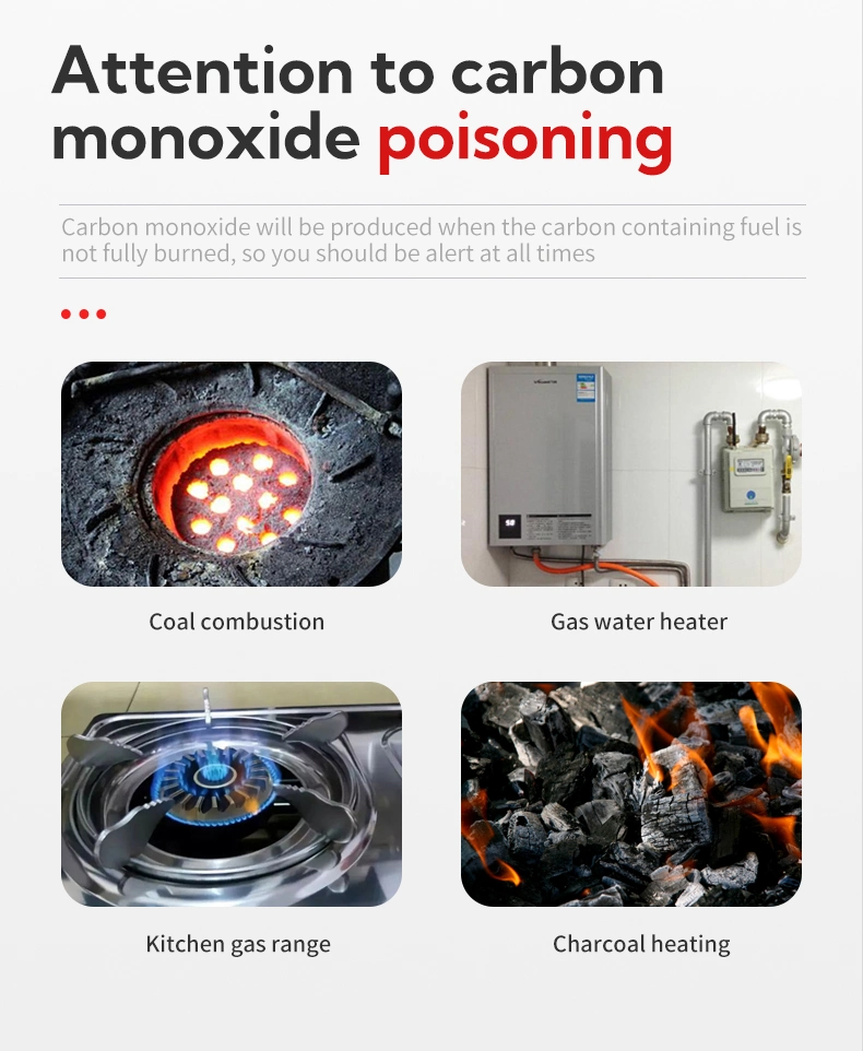 Industrial Gas Leak Detector Alarm Fire Sensor Alarm Carbon Monoxide Detector
