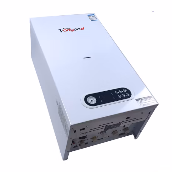 Popular in Russian Republic Wall Hung Gas Boiler for Central Heating Home and Hot Water