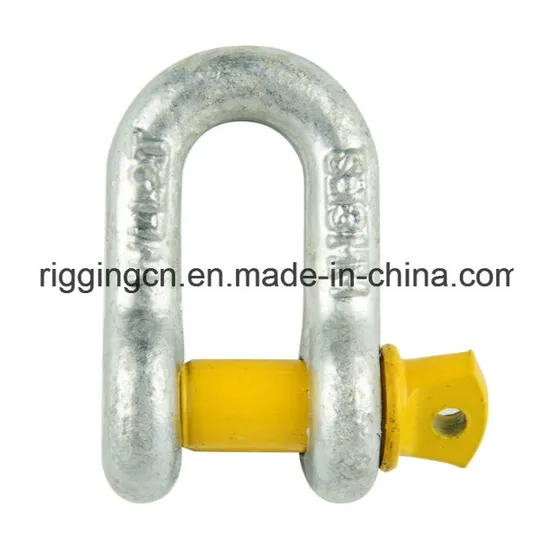 Forged D Lifting Ring with Welding Plate for Lashing Handle 