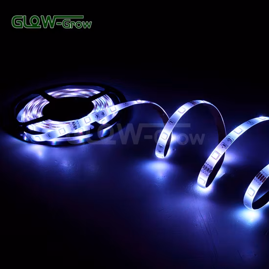 Wholesale Waterproof Bluetooth SMD 5050 RGB LED Strip Lights for Home Room Christmas Decoration 5m/10m/15m/20m